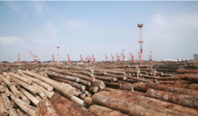 我國木材交易市場的形成與發展歷程